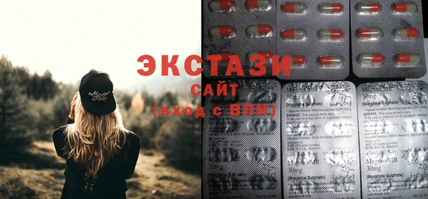 тгк Каменка