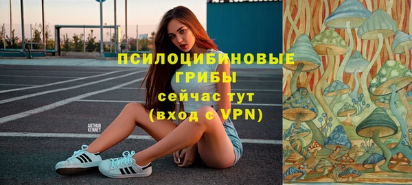наркотики Каменск-Шахтинский