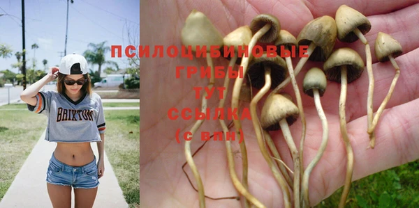 MESCALINE Инта