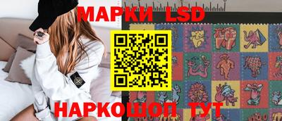 СК Краснознаменск