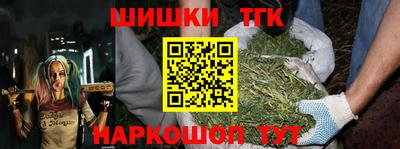 СК Краснознаменск