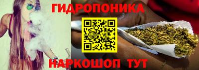 СК Краснознаменск