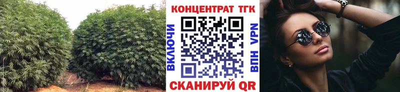 закладки  Камышин  Дистиллят ТГК концентрат 