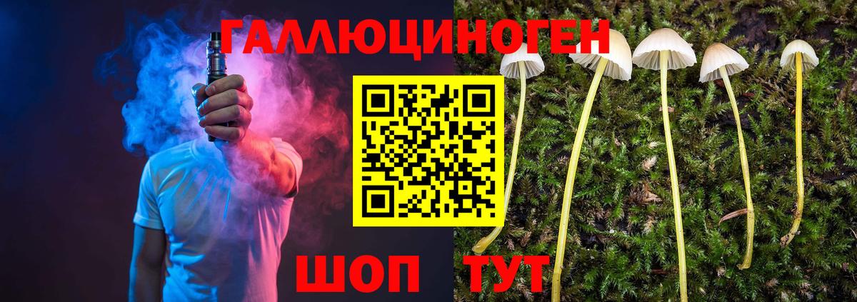 Псилоцибиновые грибы Cubensis Камышин