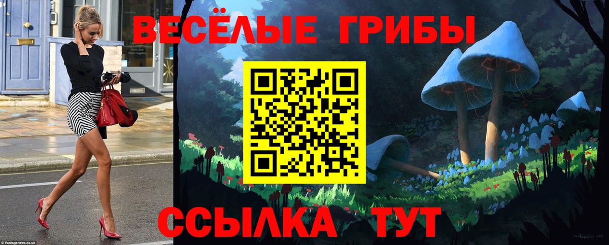 Камышин  Галлюциногенные грибы ЛСД  Псилоцибиновые грибы GOLDEN TEACHER  Вход с VPN 